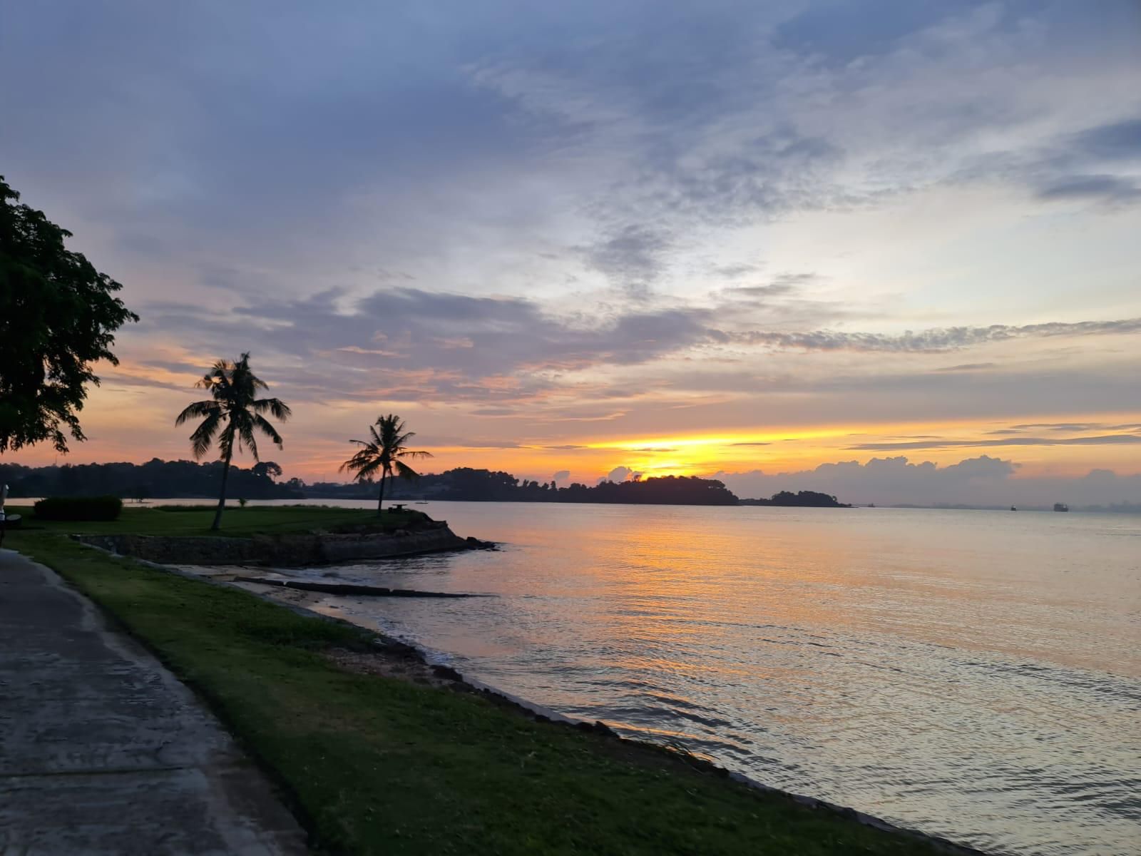 Sunset. Sea breeze. Perfect fairways. 🌴🌊⛳